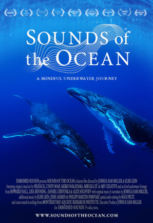 img poster fulldome show Sounds of the Ocean